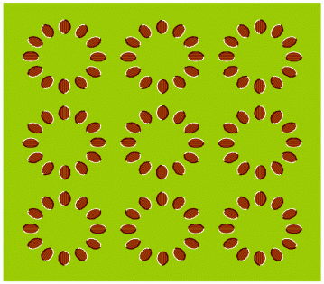 430345.gif